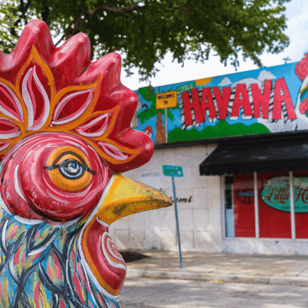 Little Havana
