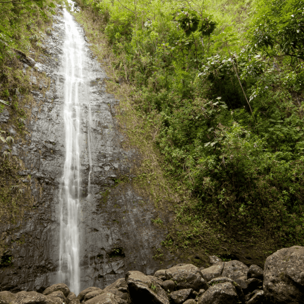 Manoa Falls