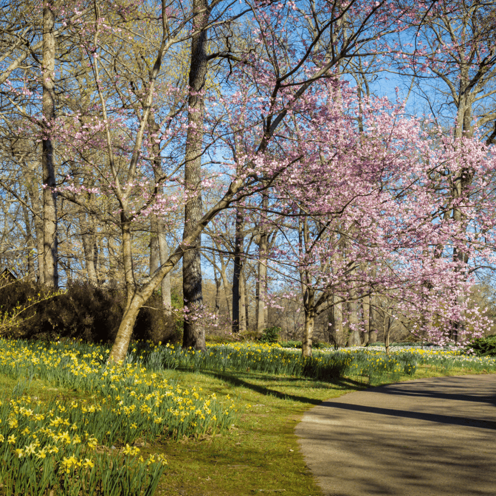 Memphis Botanic Garden