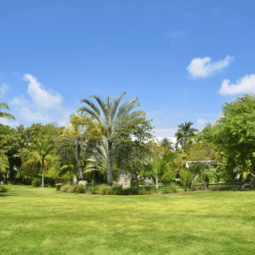 Miami Beach Botanical Garden