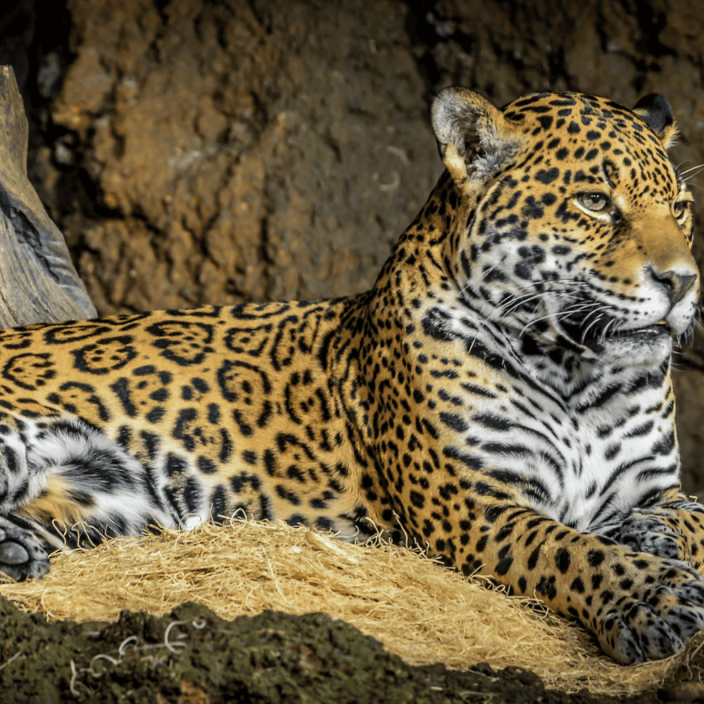 Milwaukee County Zoo