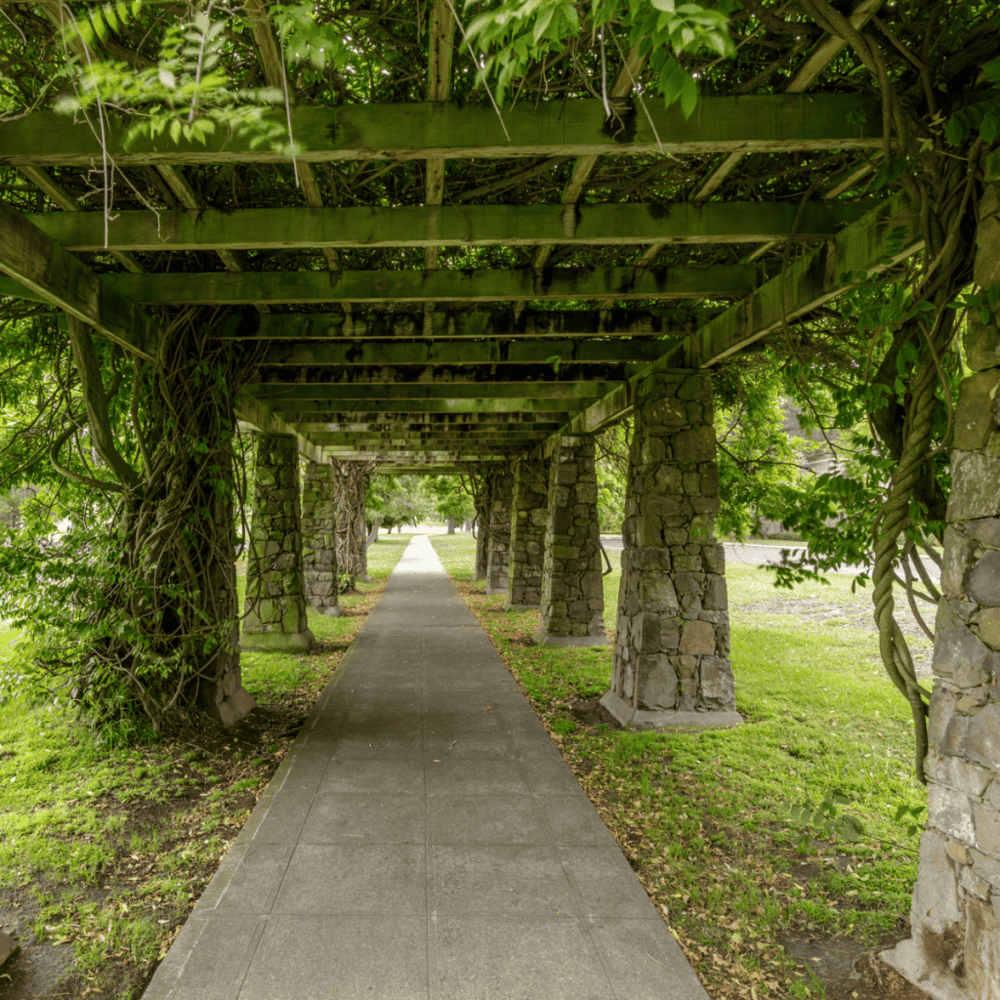 Mountain View Cemetery