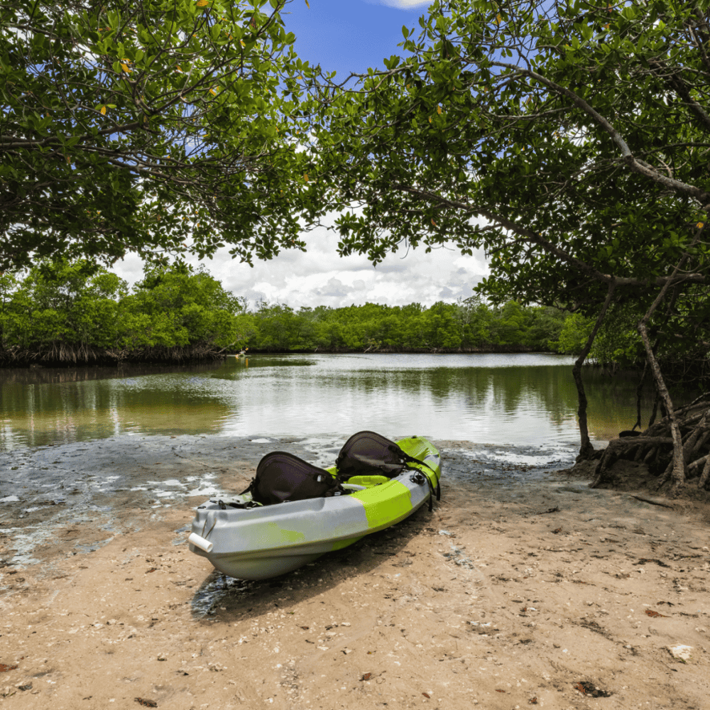 Oleta River State Park