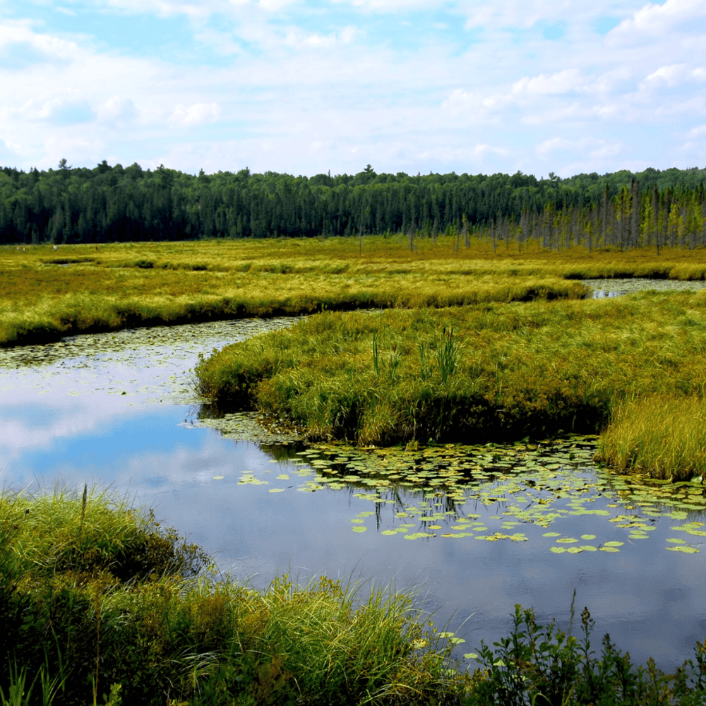 Oso Bay Wetlands Preserve