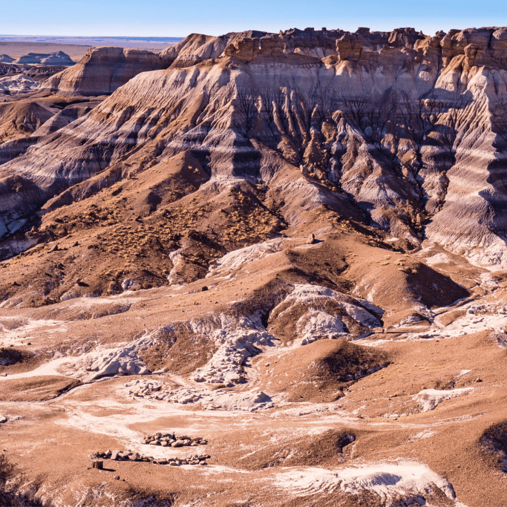 Petrified Forest National Park