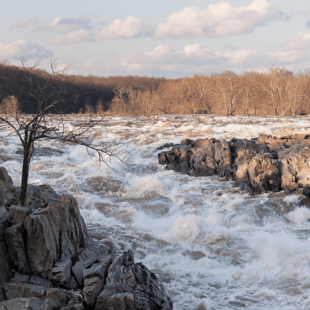 Potomac River
