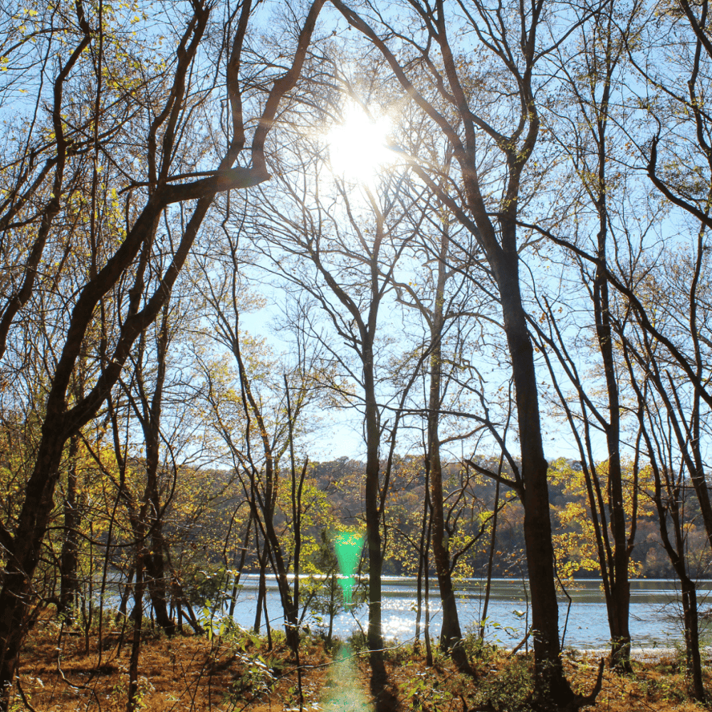 Radnor Lake State Park