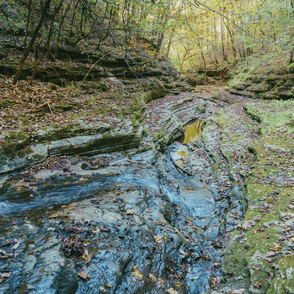 Raven Run Nature Sanctuary