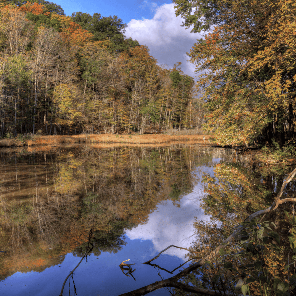 Rocky River Reservation