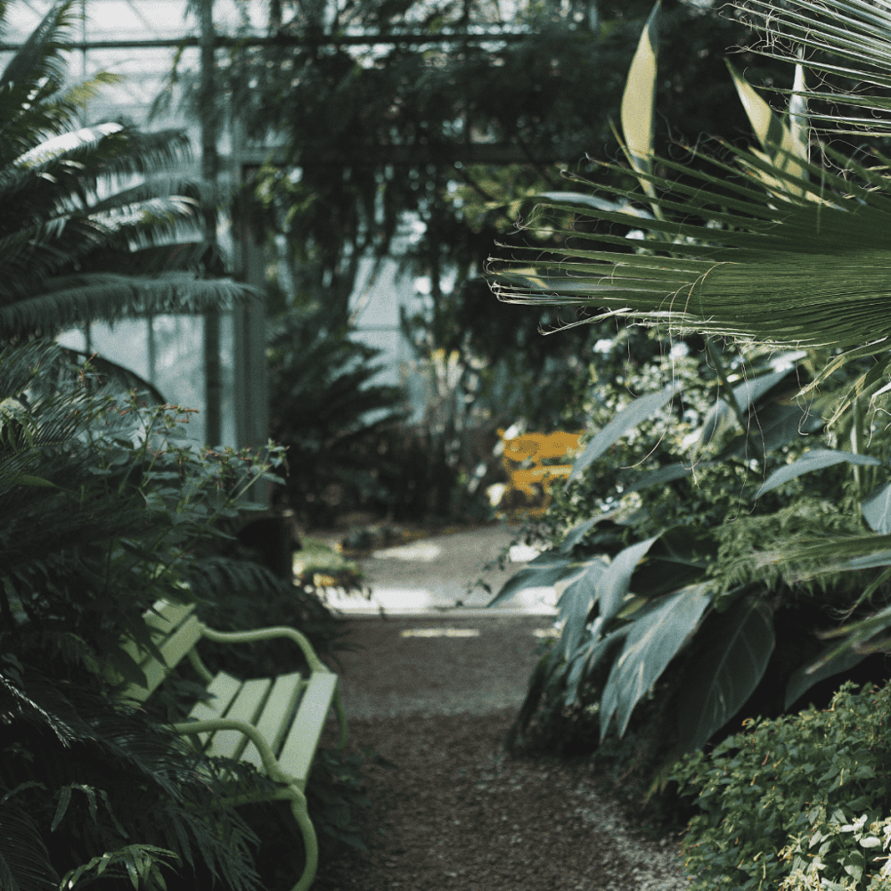 San Diego Botanic Garden