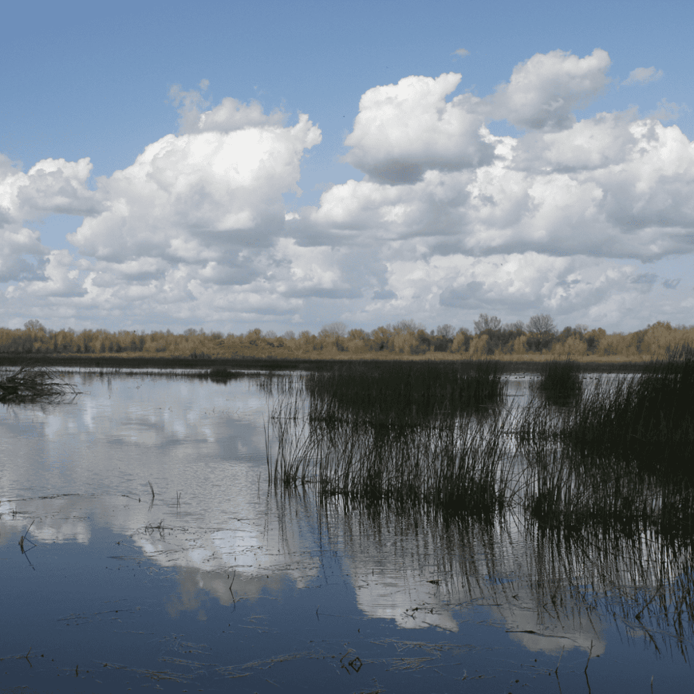 San Joaquin Wildlife Sanctuary