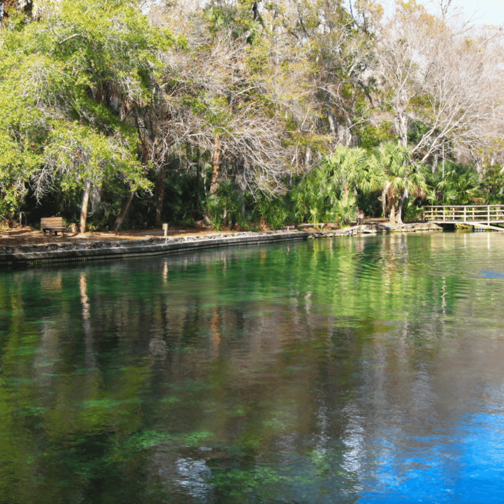 San Pedro Springs Park