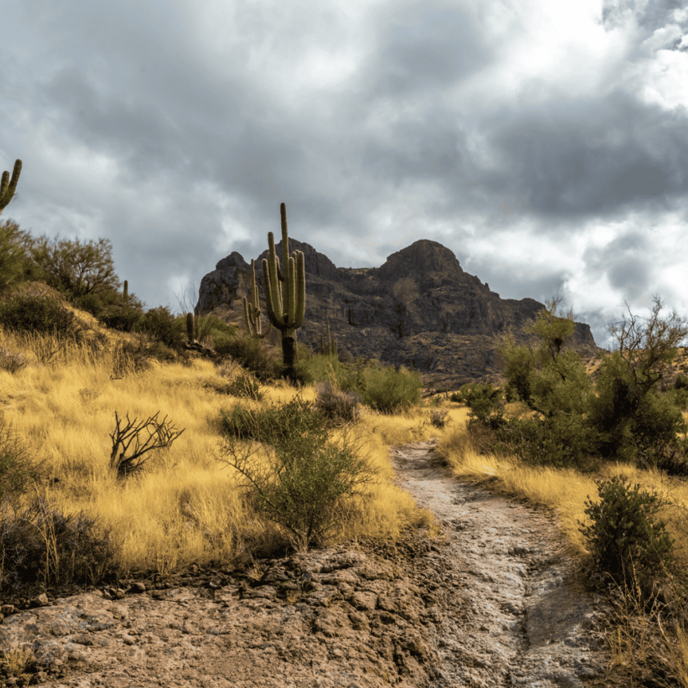 San Tan Mountain Regional Park