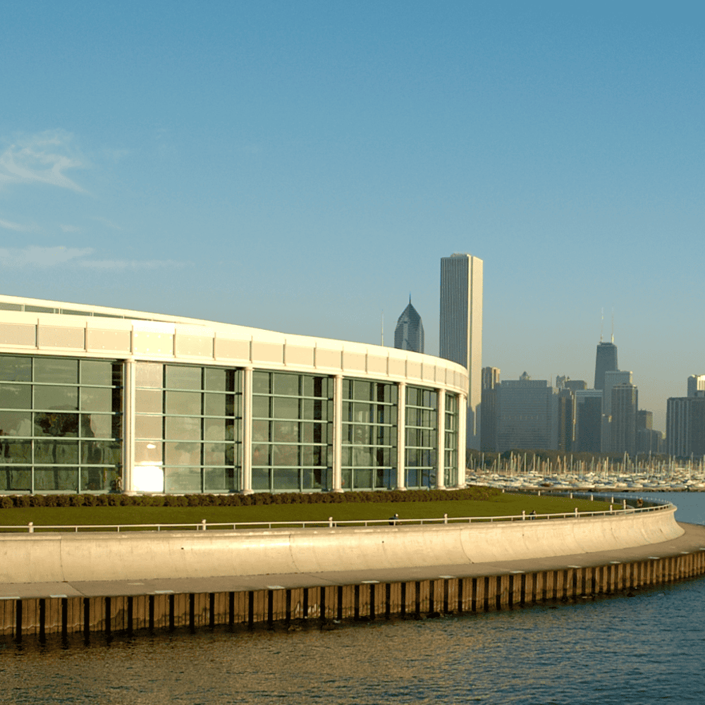 Shedd Aquarium