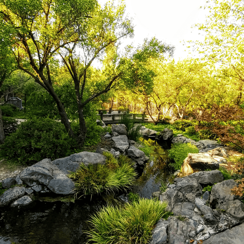 Shinzen Japanese Garden