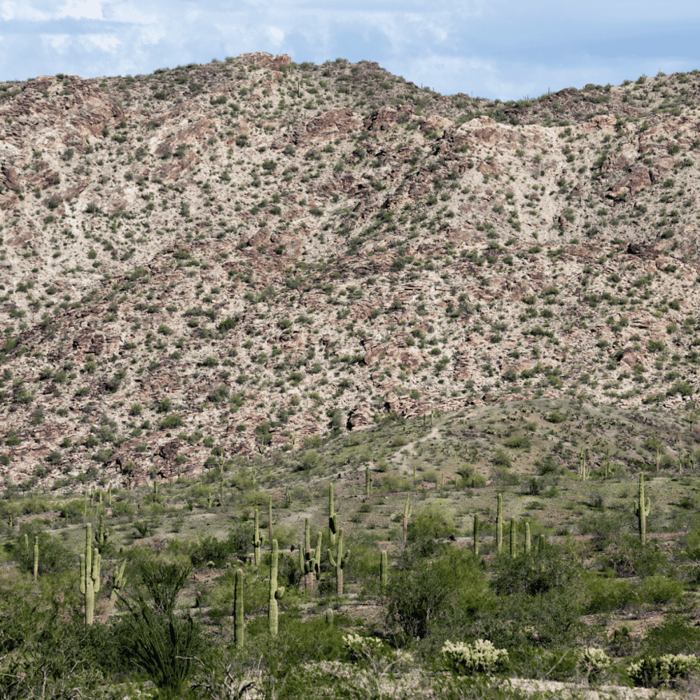 South Mountain Park and Preserve
