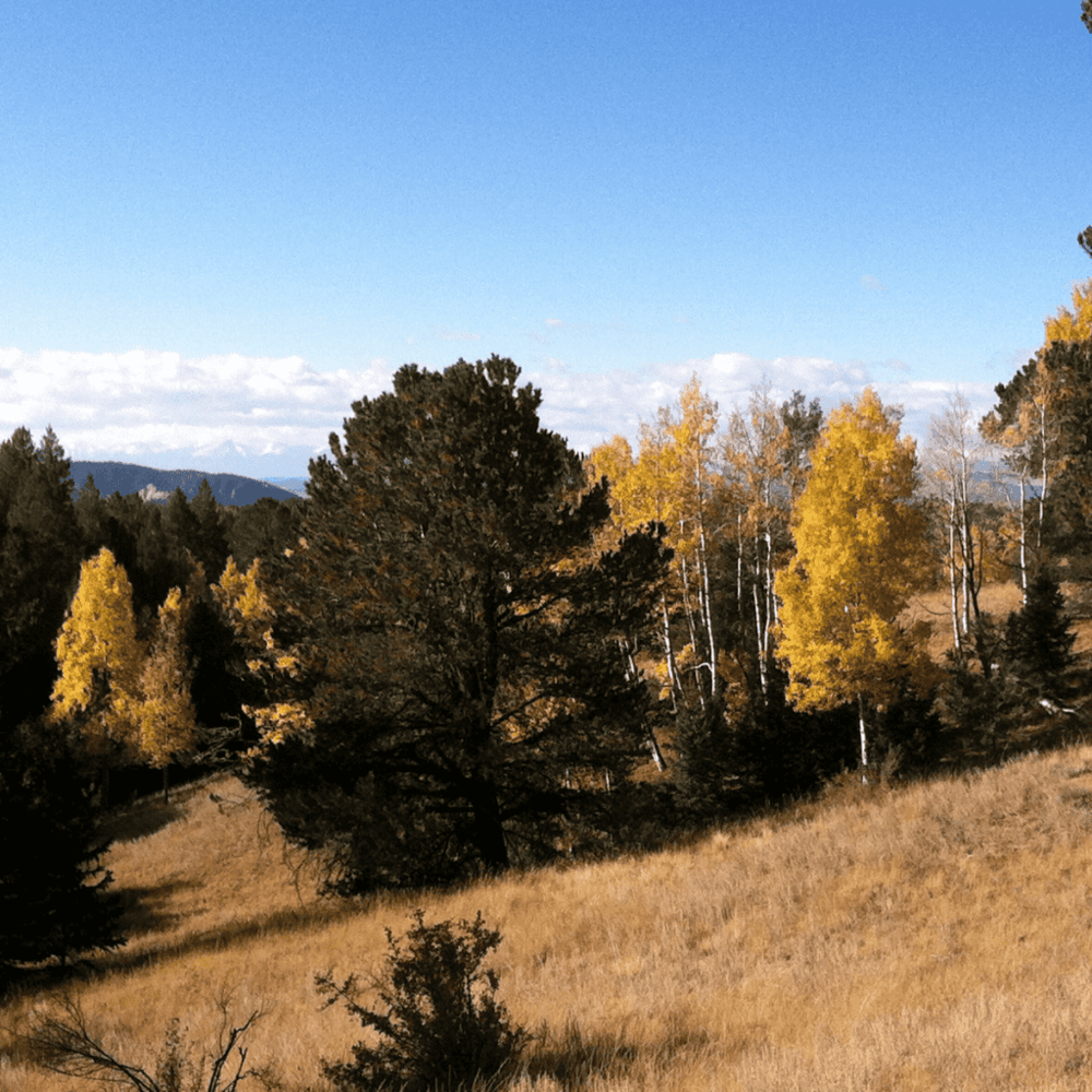 Spend quality time at Mueller State Park