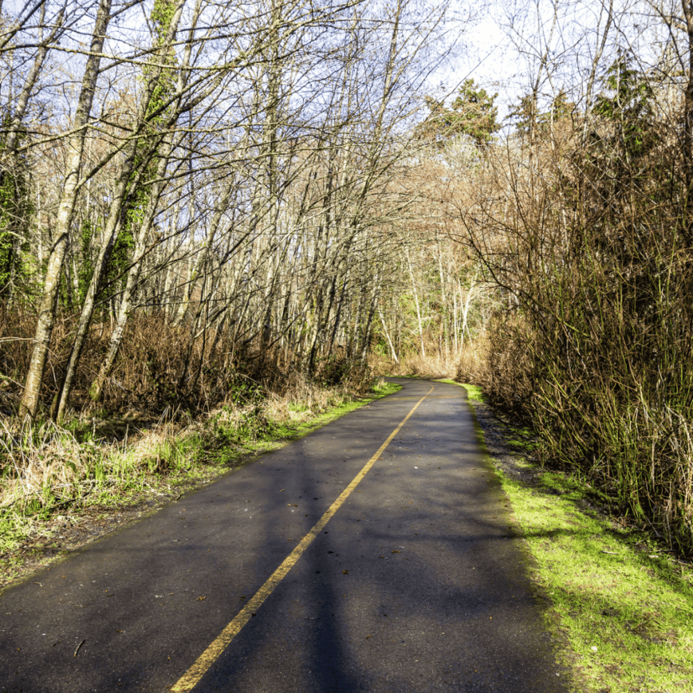 Springwater Corridor