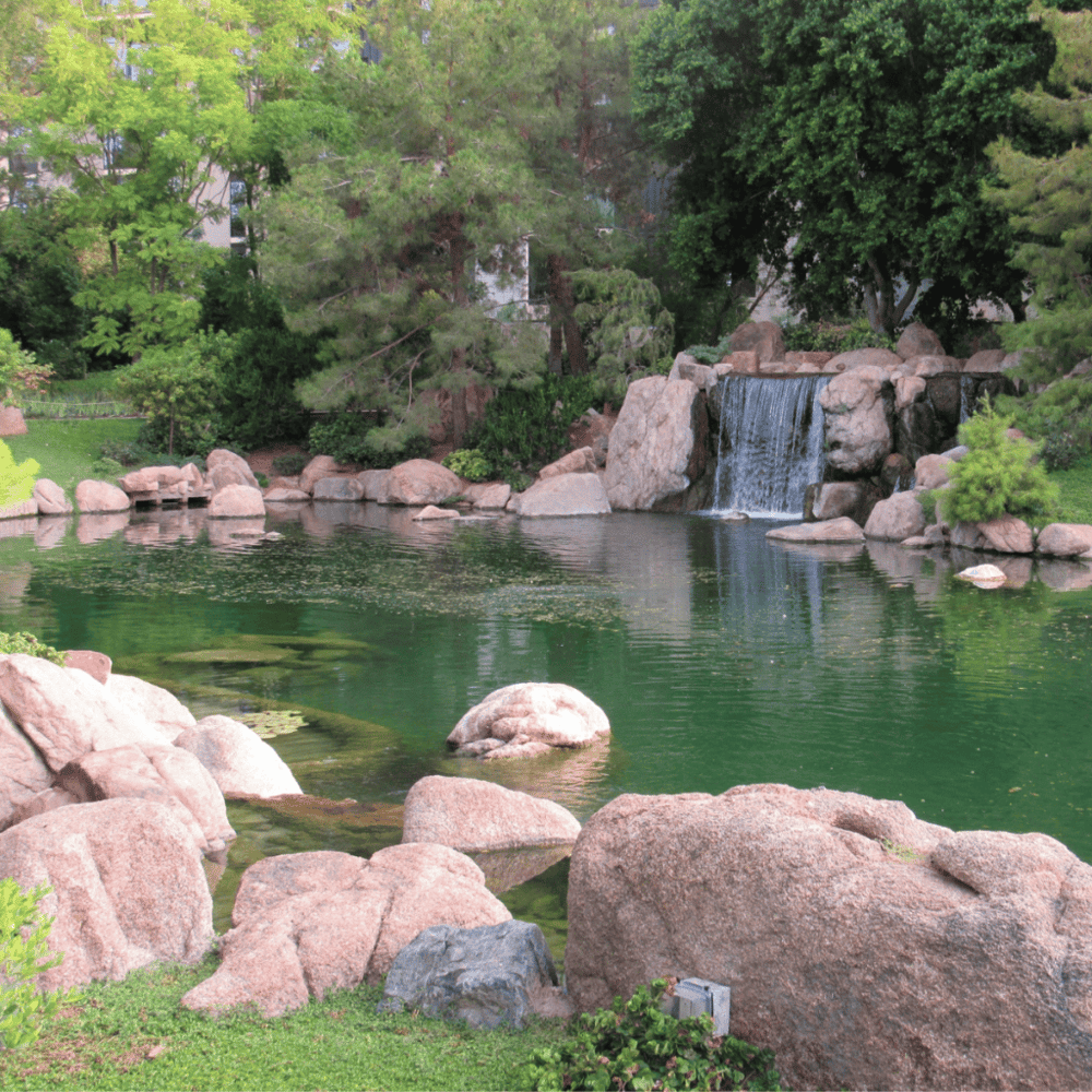 Stroll along the Japanese Friendship Garden