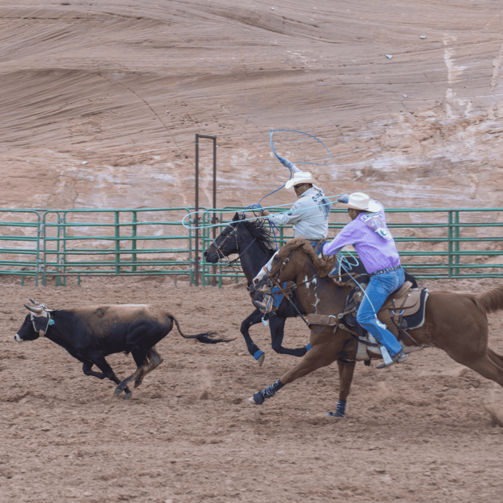 Sunland Park Racetrack & Casino