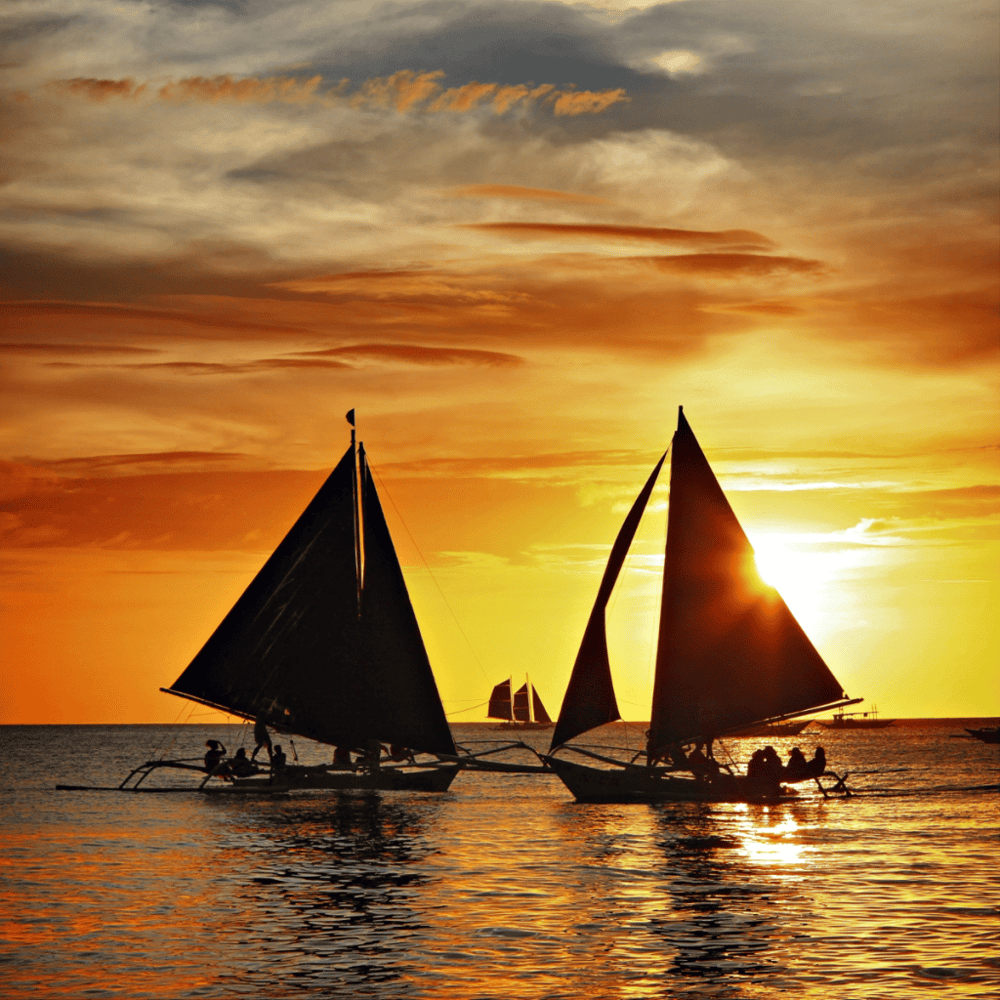 Sunset Sails and Harbor Cruises