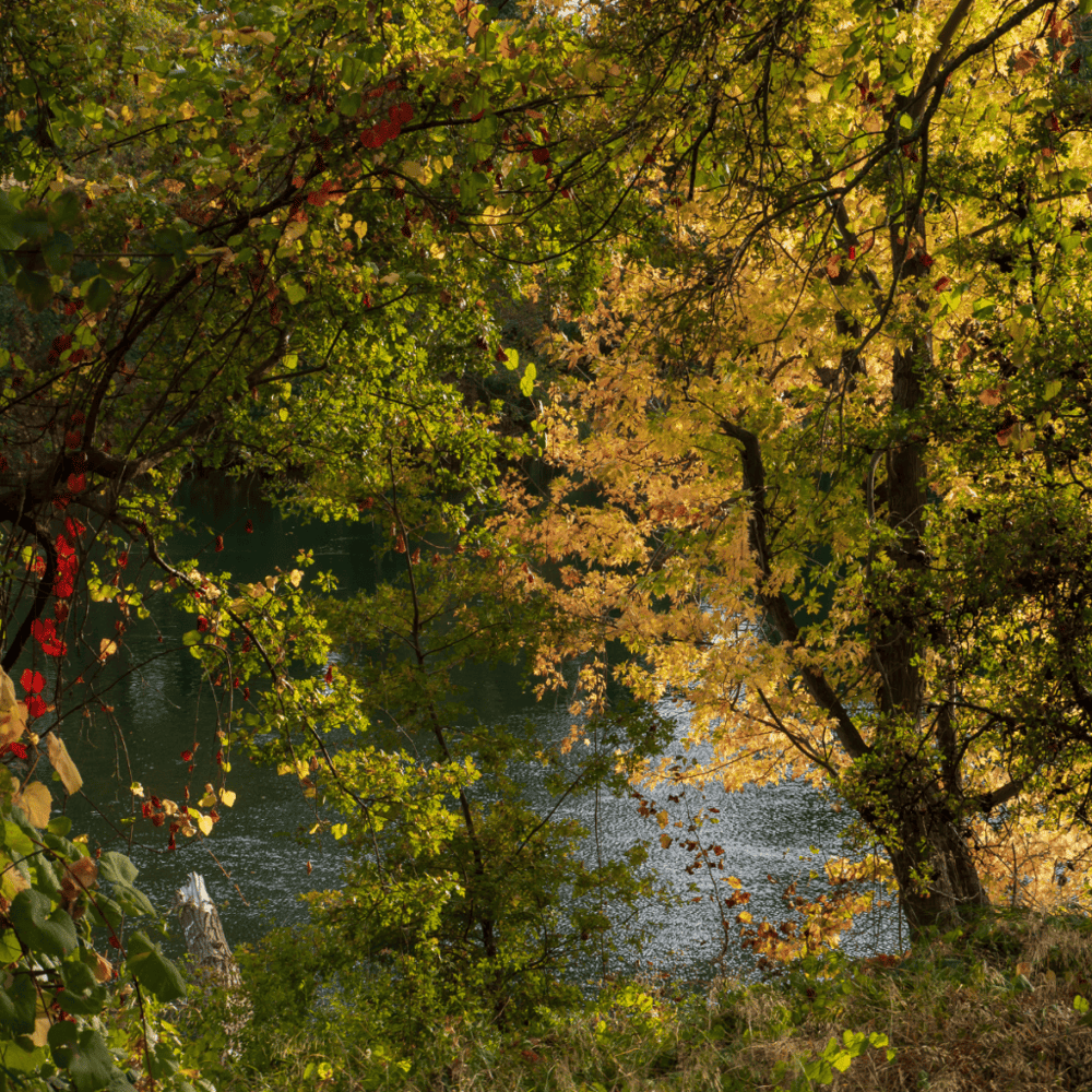 Sutter’s Fort State Historic Park