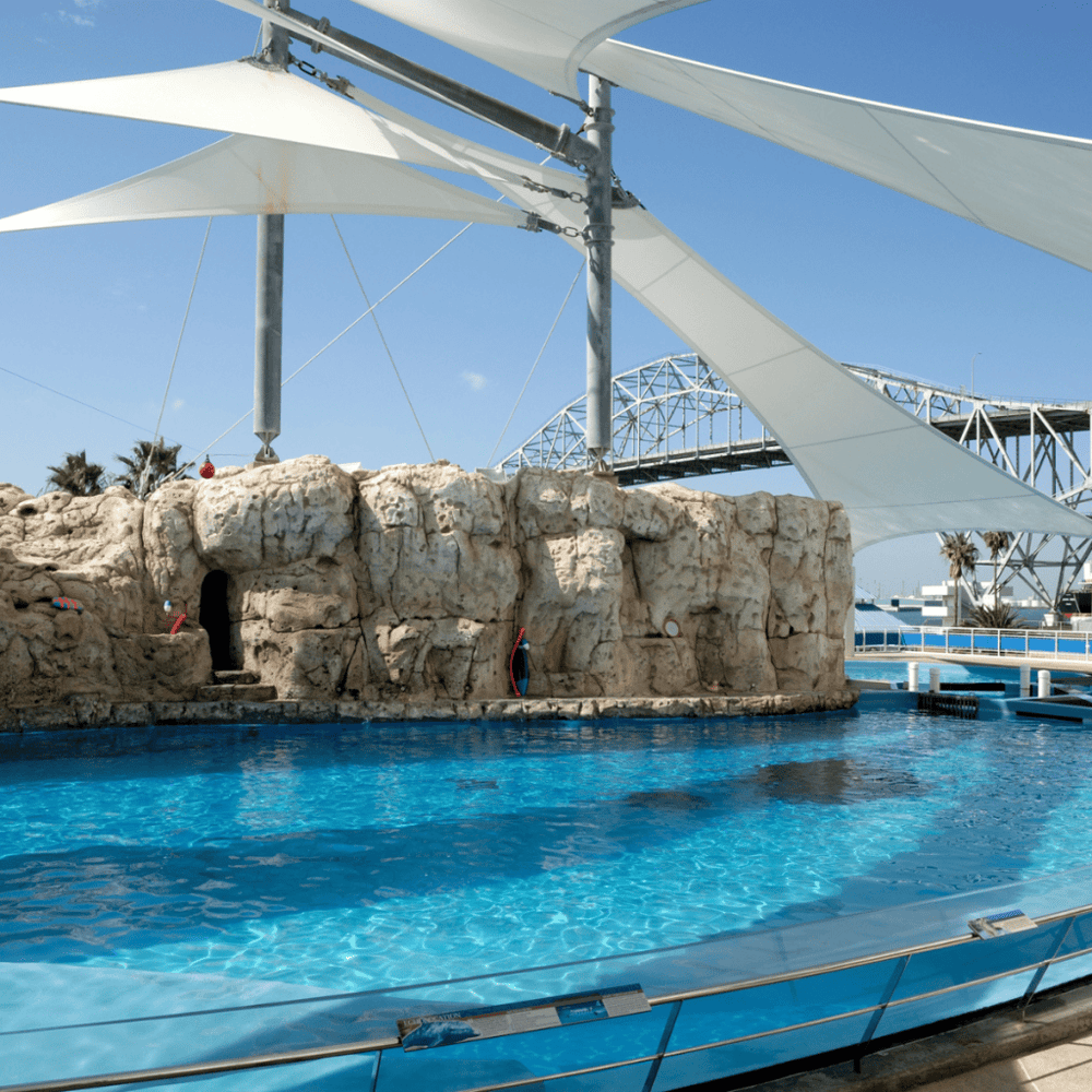 Texas State Aquarium