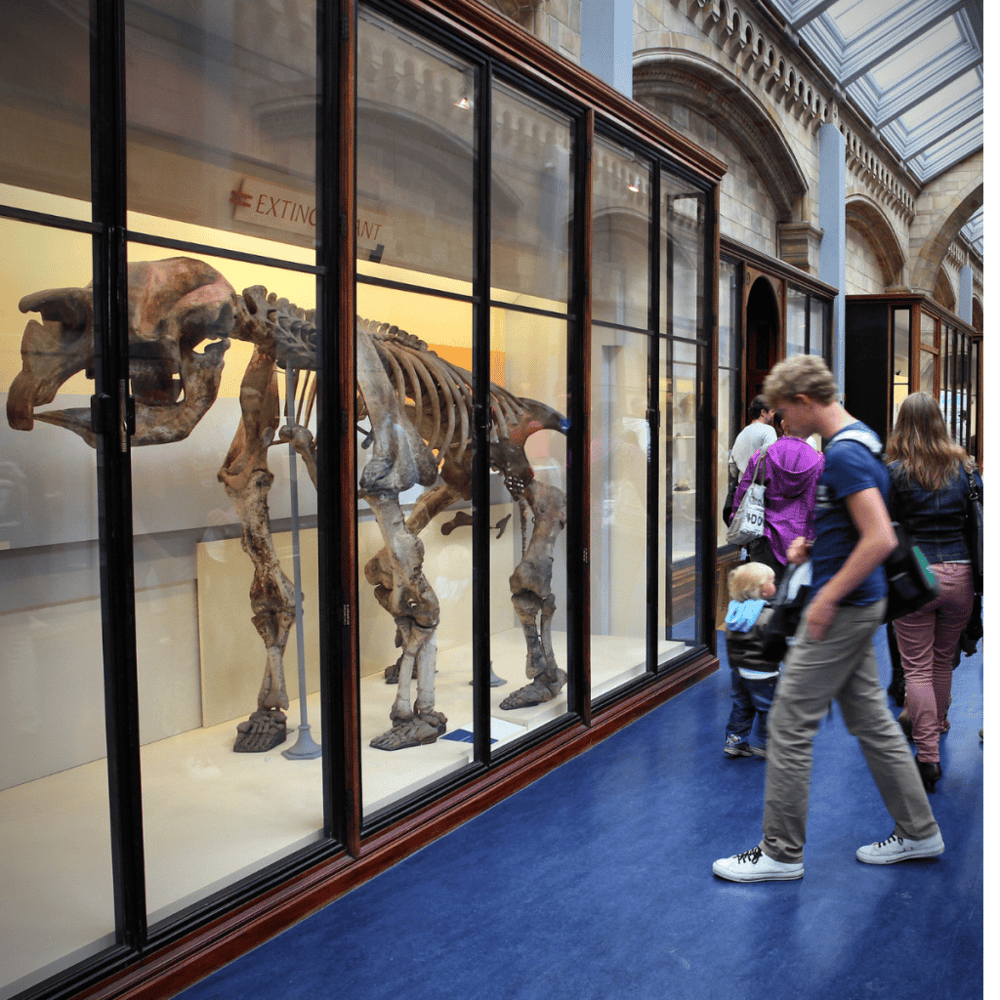 The Cleveland Museum of Natural History