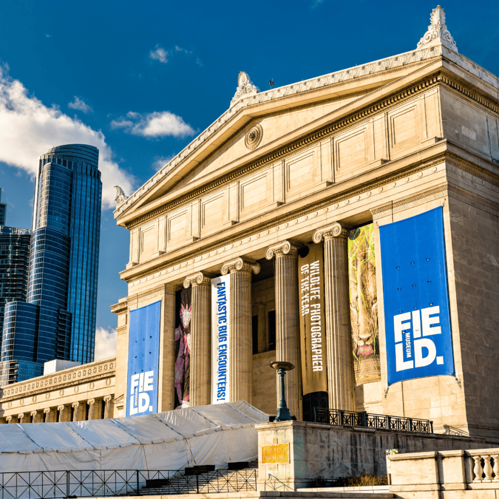 The Field Museum
