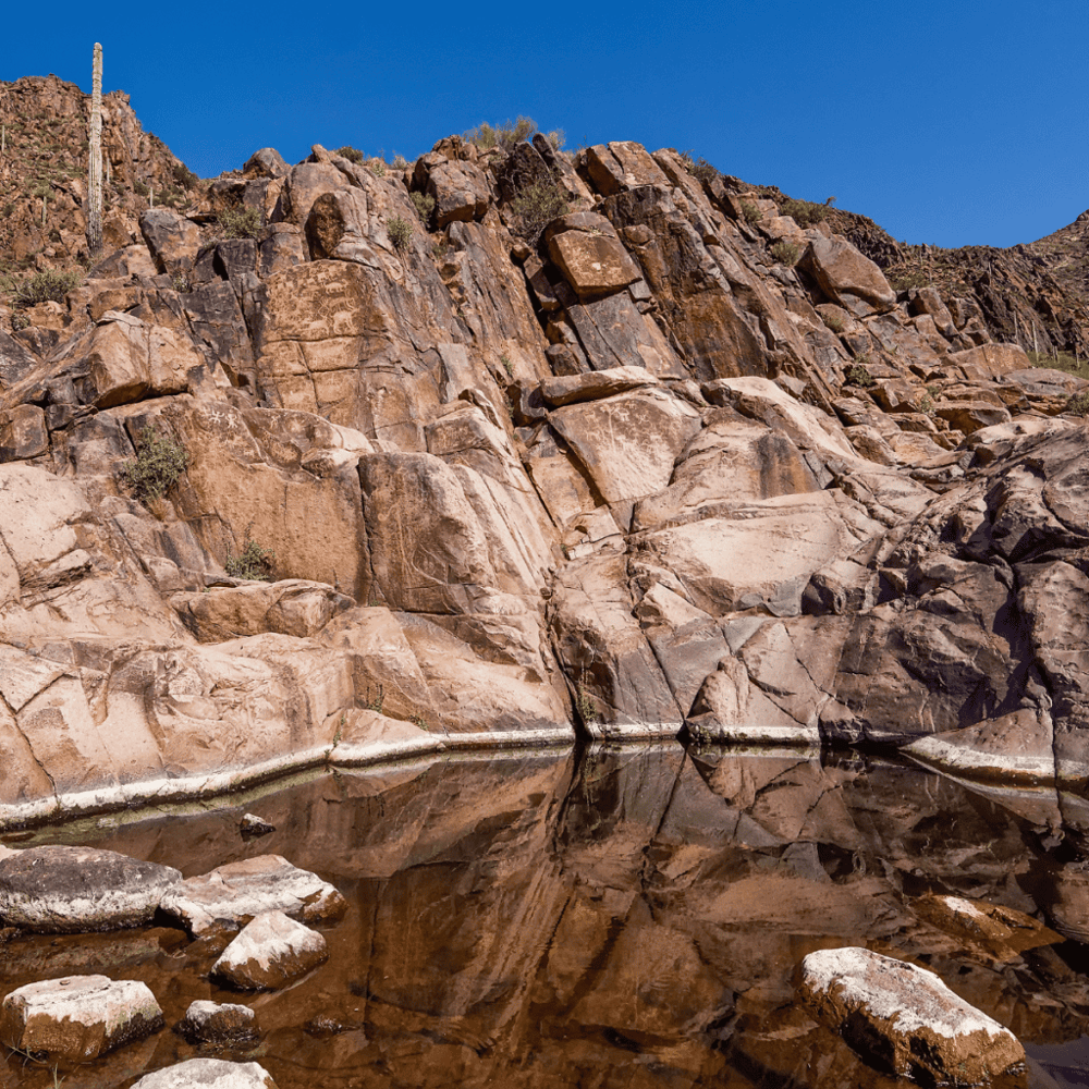 The Hieroglyphic Trail