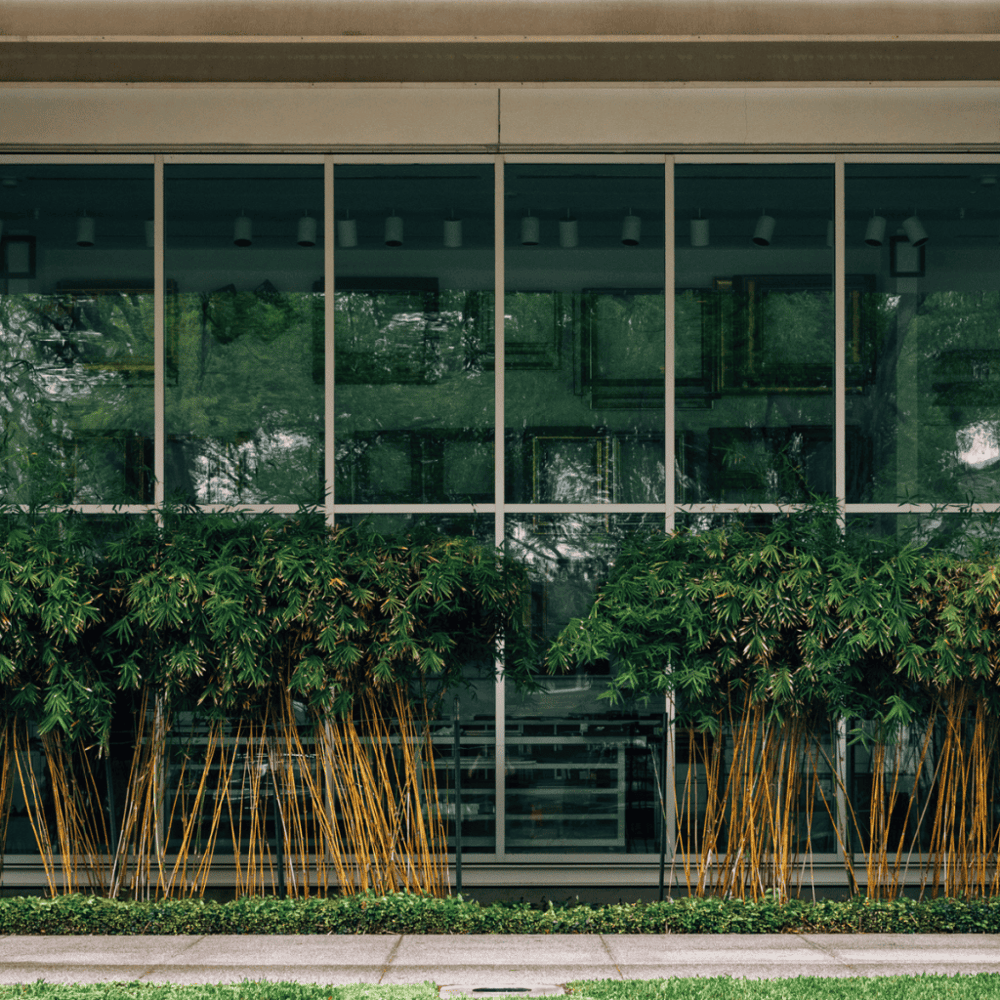 The Menil Collection