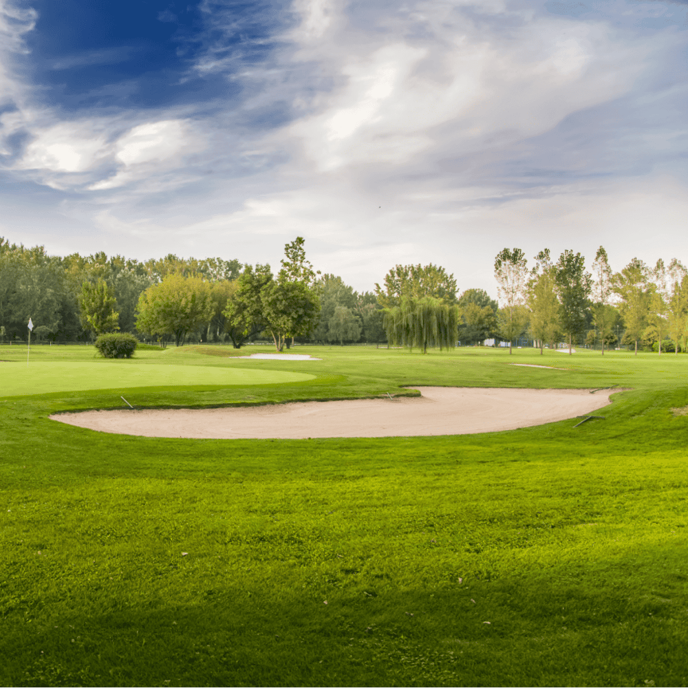 Tierra Verde Golf Club