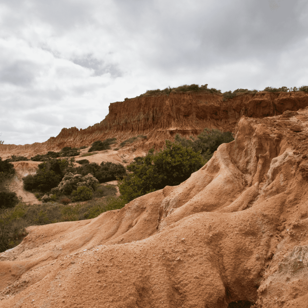 Torrey Pines State Reserve