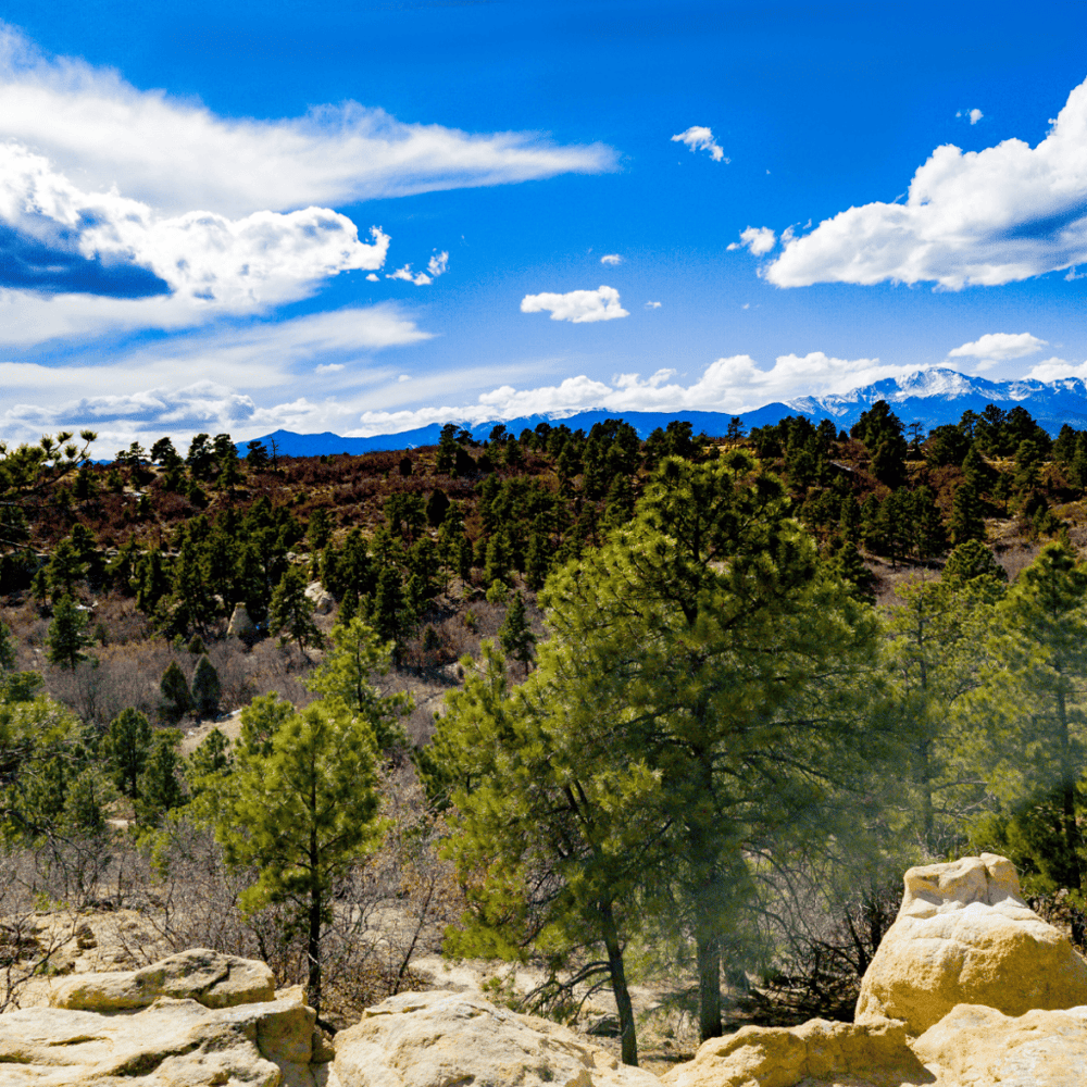 Unwind in the Palmer Park