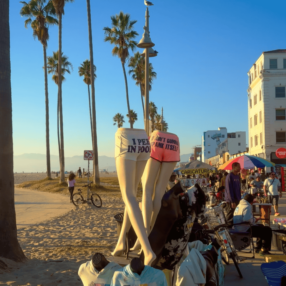 Venice Beach and Boardwalk