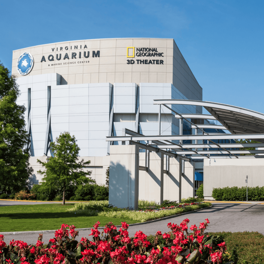 Virginia Aquarium & Marine Science Center