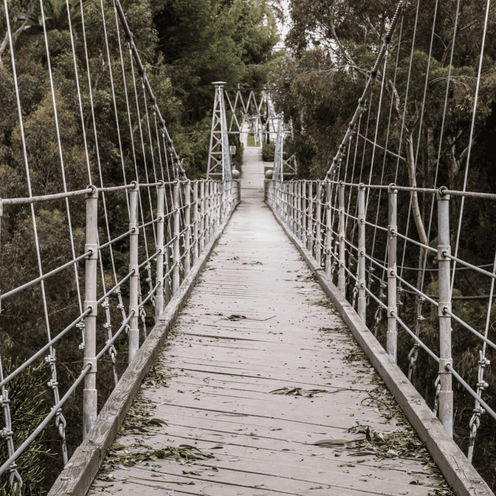 Visit the Spruce Street Suspension Bridge
