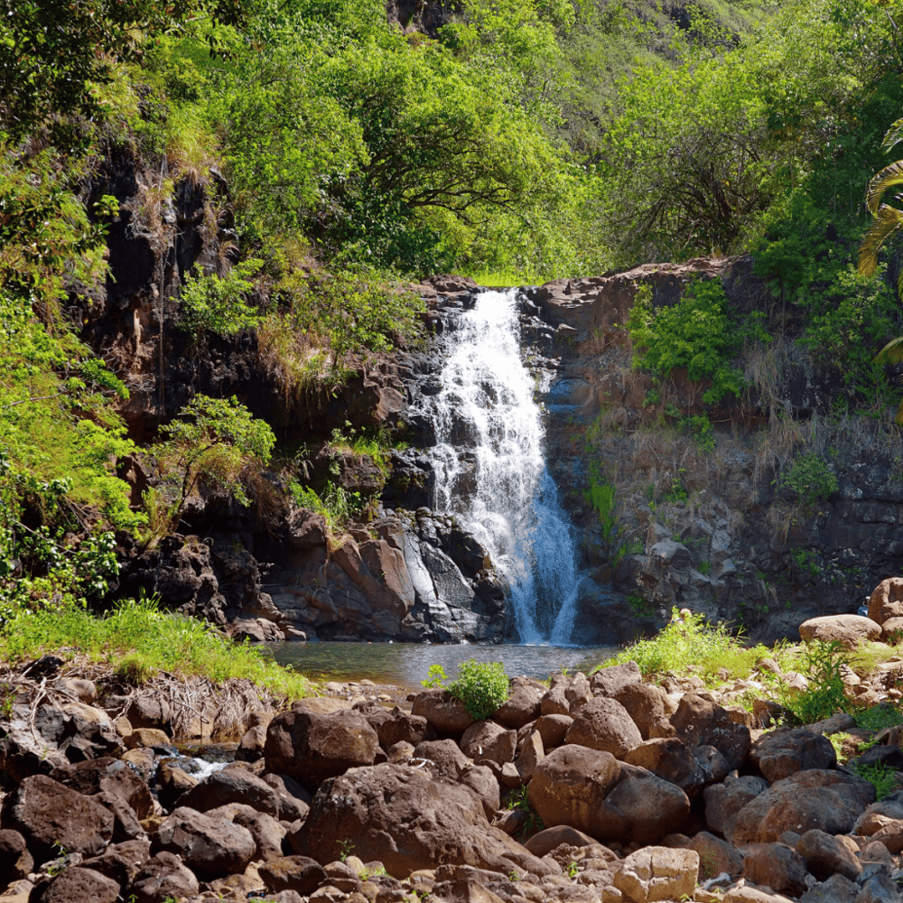 Waimea Valley