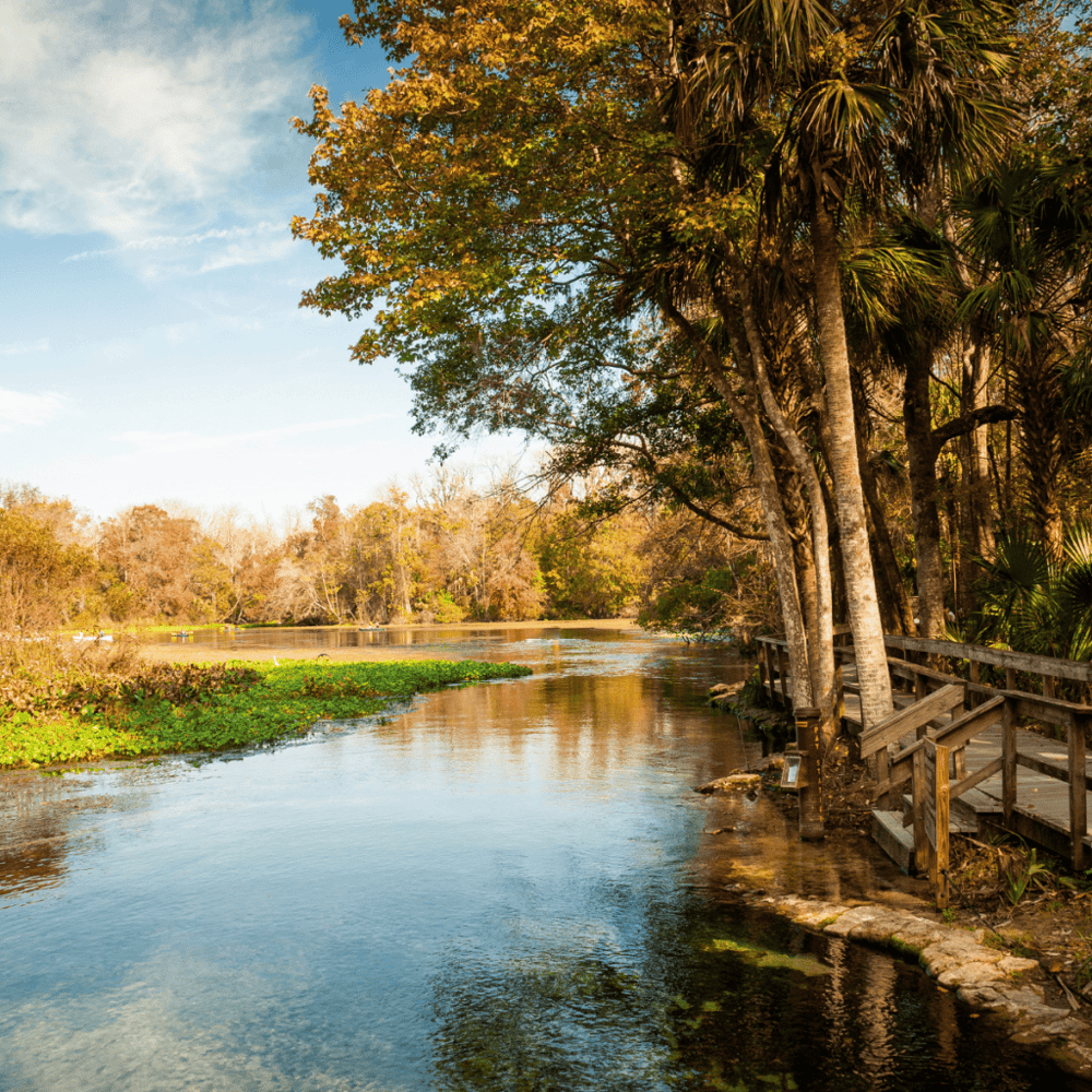 Wekiwa Springs State Park