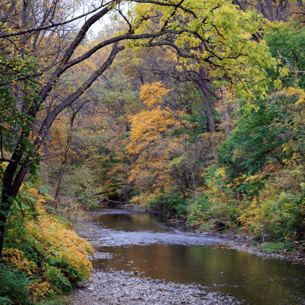Wissahickon Valley Park