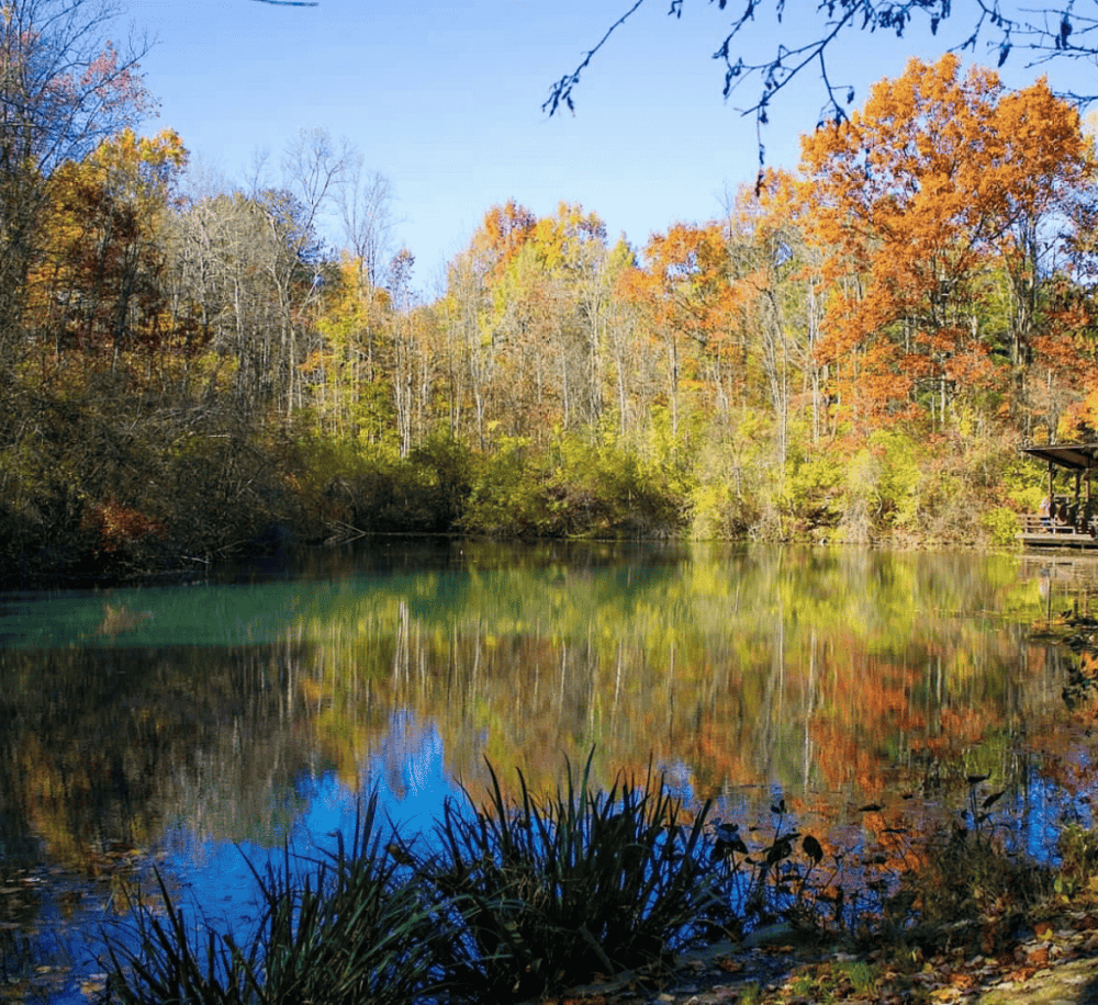F.A. Seiberling Nature Realm