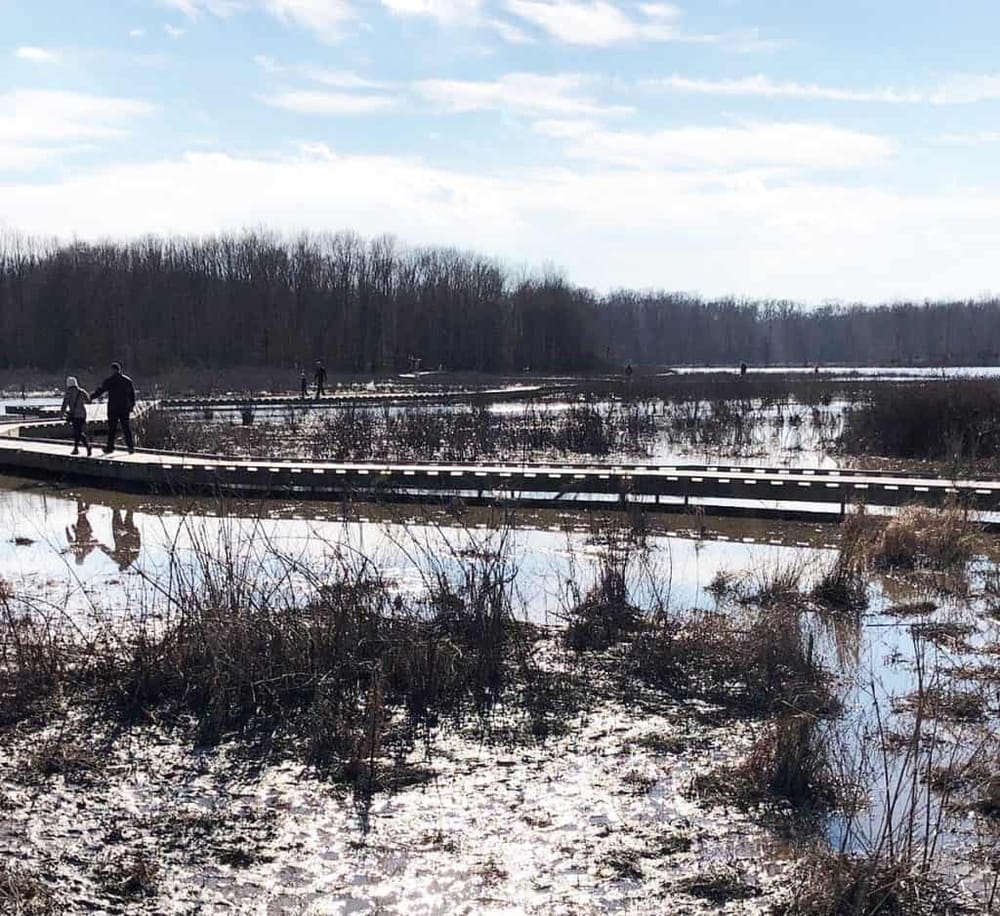 Huntley Meadows Park