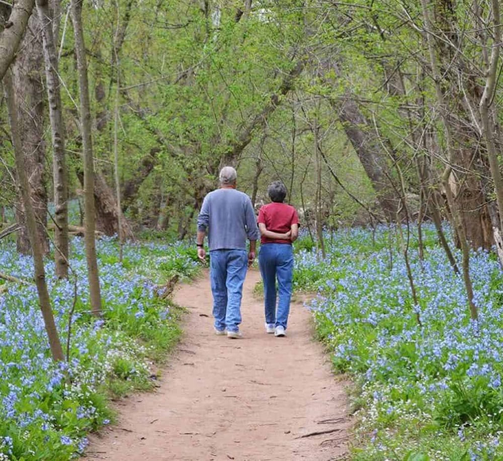 Cameron Run Regional Park