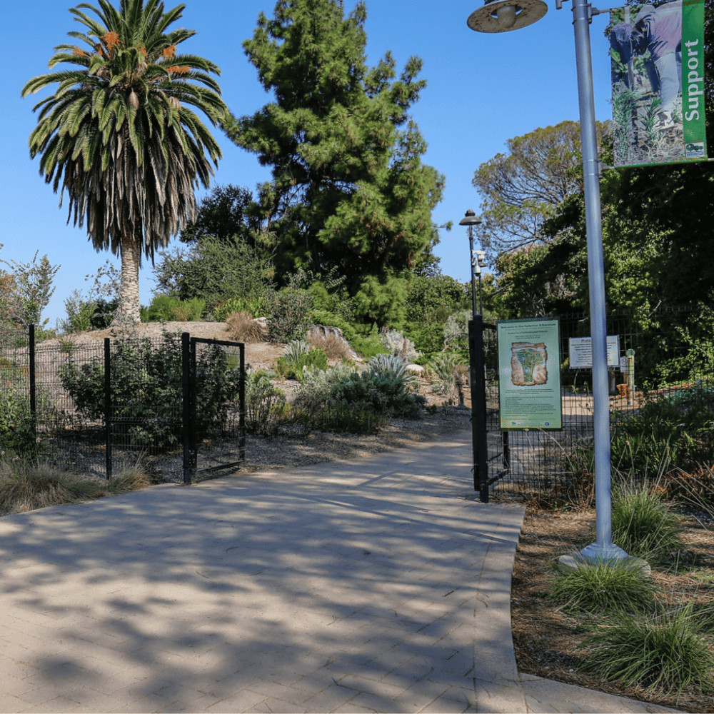 Fullerton Arboretum