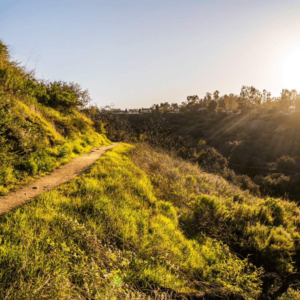 Oak Canyon Nature Center