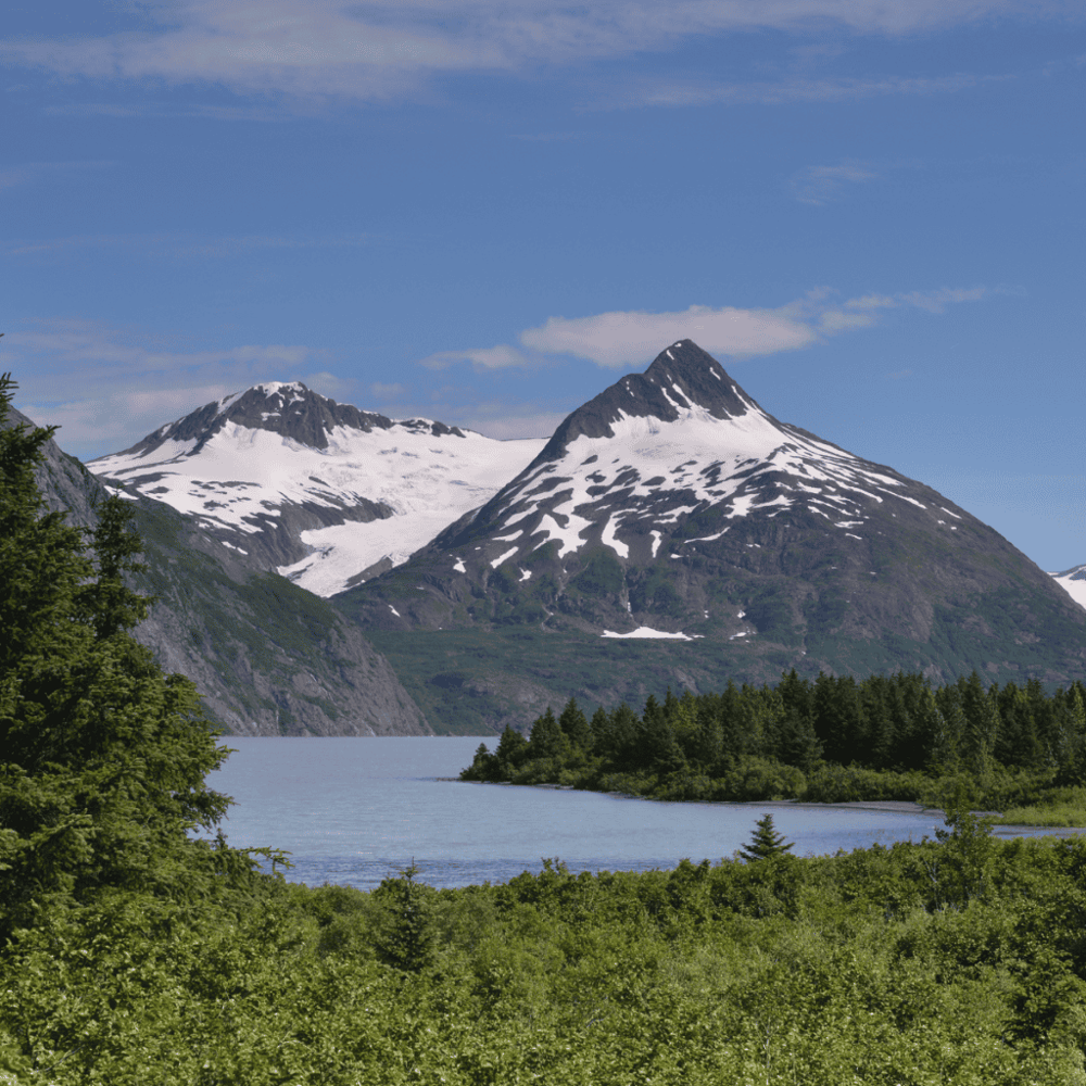 Hot Air Balloon Over Chugach Mountains