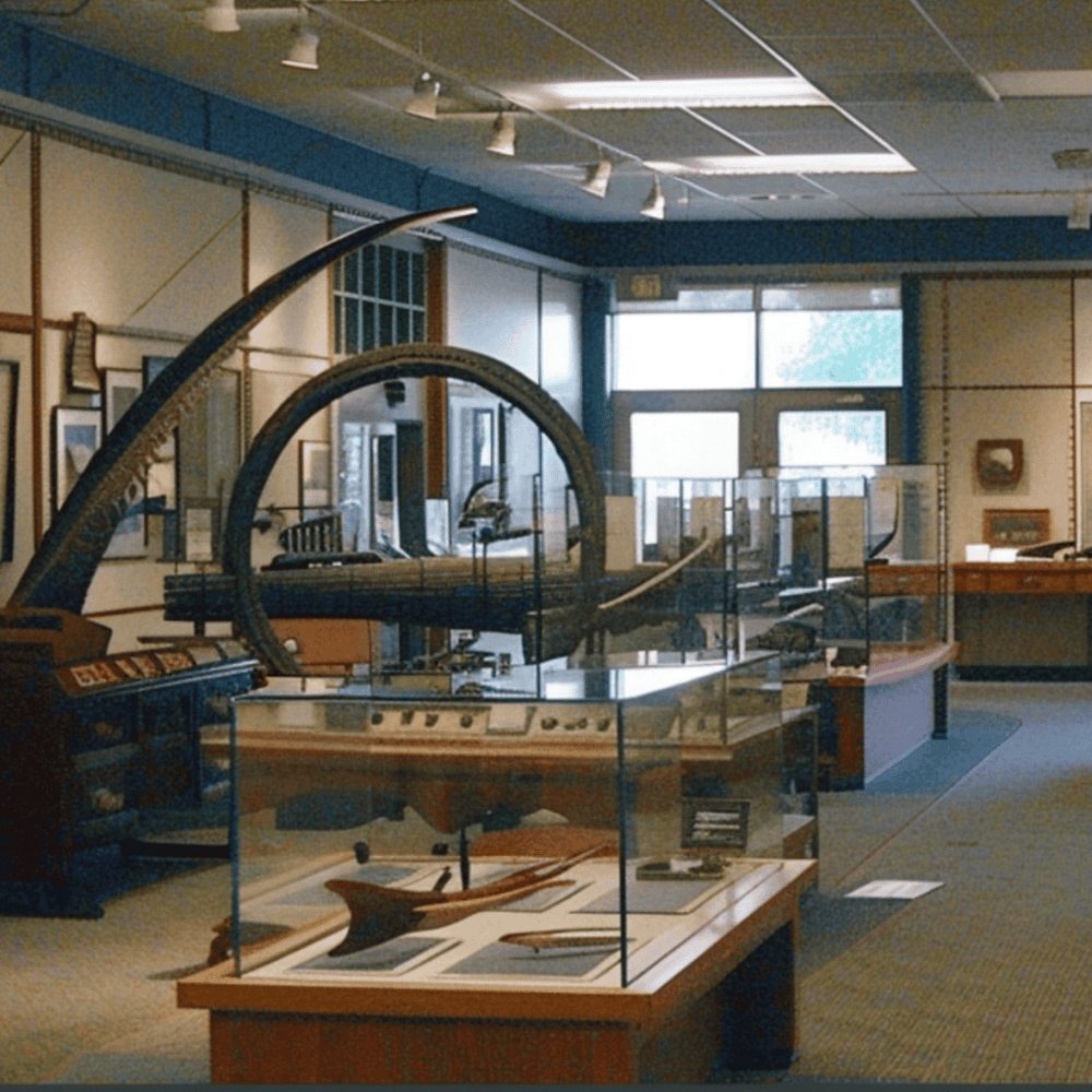 Wells Fargo Alaska Heritage Library & Museum