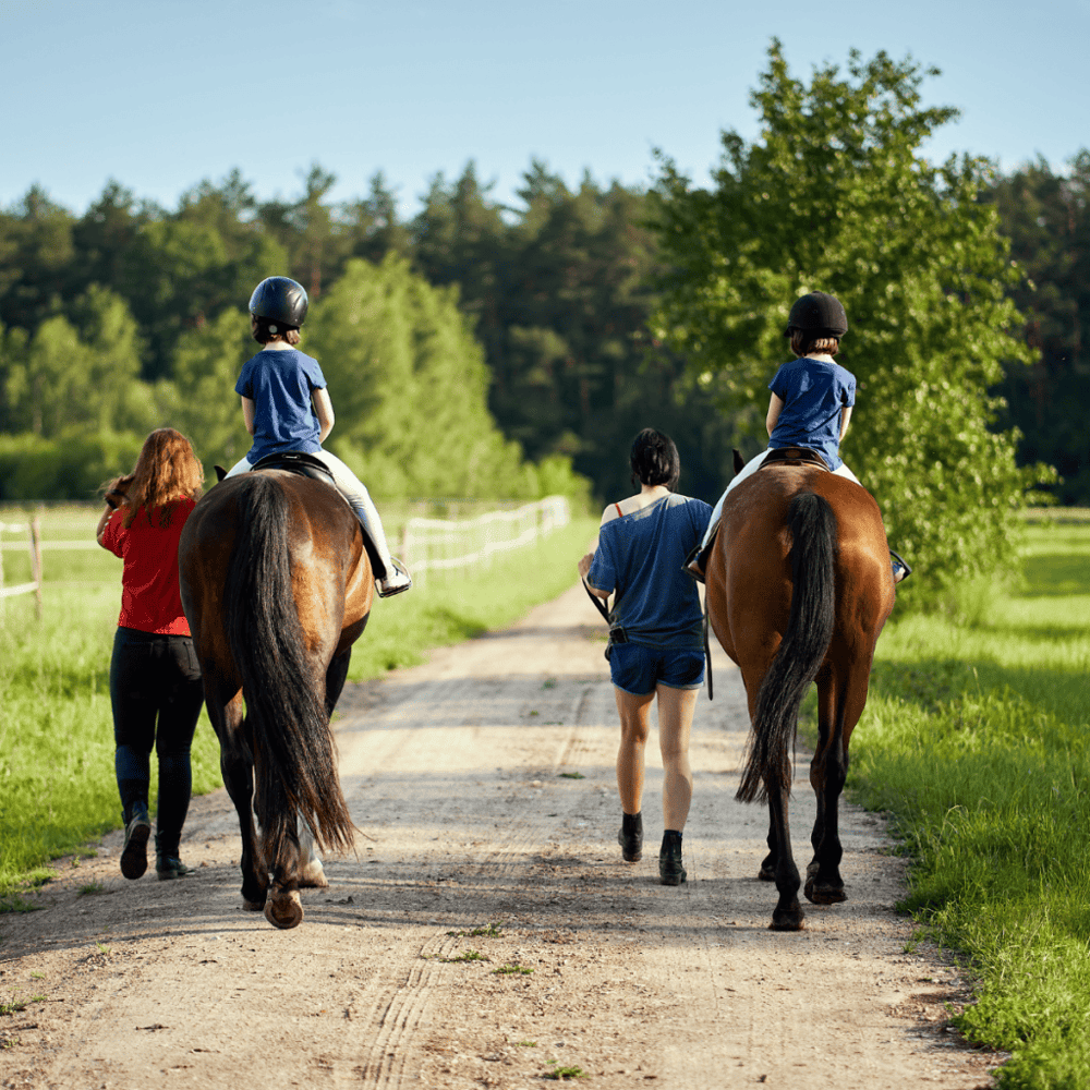 Hilltop Riding Stable