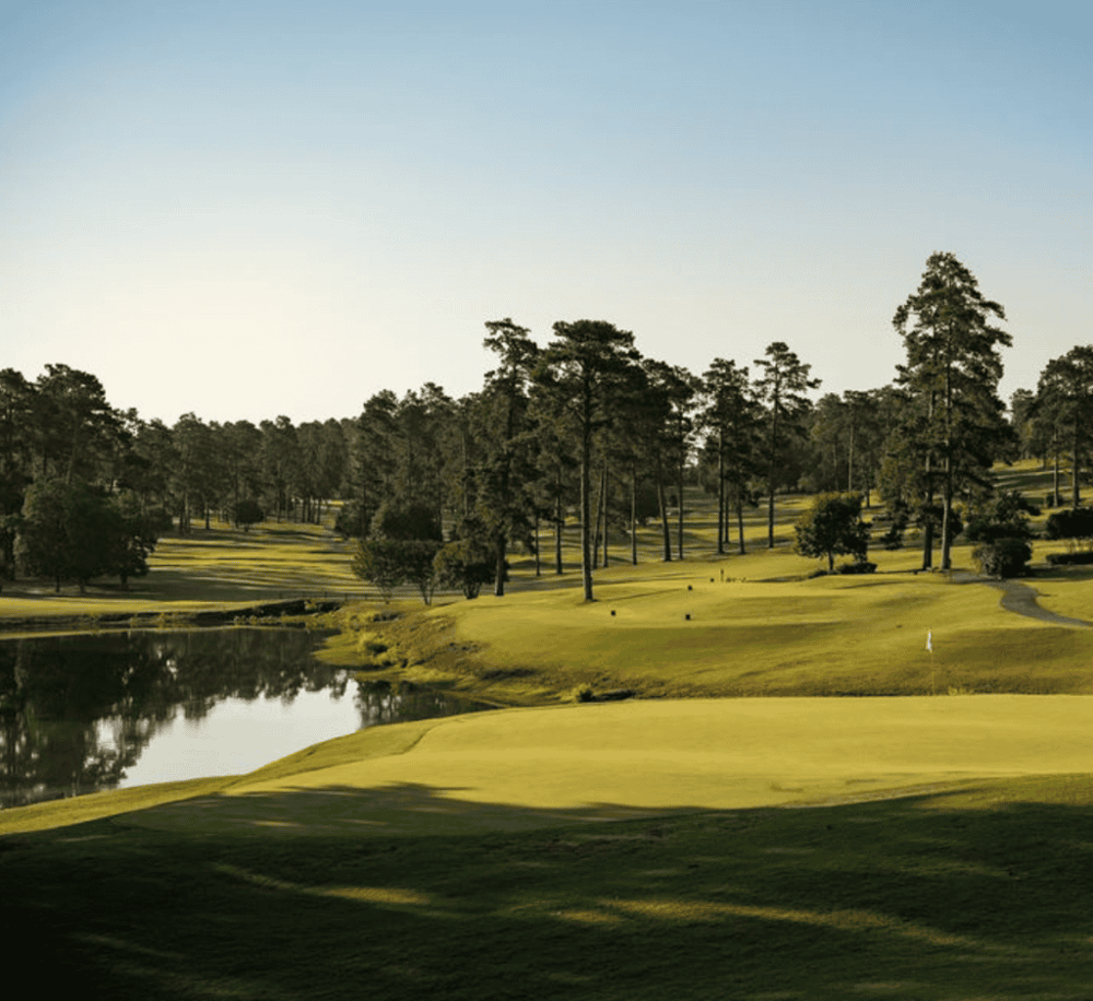 Forest Hills Golf Club