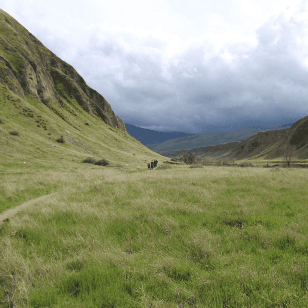 Wind Wolves Preserve